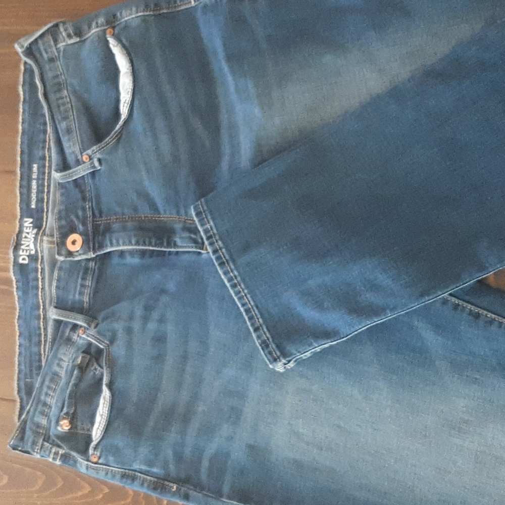 Denizen Levis